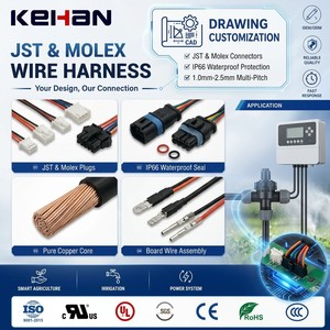 Cavi di Alta Qualità con Connettore JST XH SH ZH Molex a 2, 4, 6 Pin, Nucleo in Rame, IP66, 12V, Passo 1.0/1.5/2.0/2.5, Assemblaggio Fili per Schede - Product Image 1