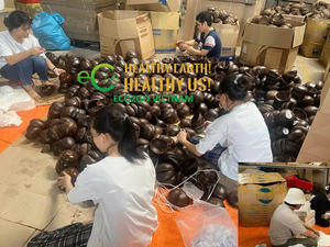 ชามทรงกะลามะพร้าวชามพร้อมช้อนทำจากเวียดนามชามกะลามะพร้าวสำหรับใส่สมูทตี้ขายส่ง - Product Image 6