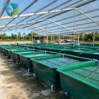 Bassin d'incubation de vœlus de poisson en PRP, bac de culture de crevettes en PRP, piscine de culture ronde ou carrée