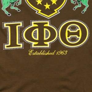 Iota Phi Theta Fraternidad Camiseta gráfica Marrón con letras de escudo impresas en oro Camiseta clásica de algodón con cuello redondo Ropa universitaria - Product Image 6