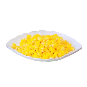 Maíz Dulce Entero Congelado Fresco LQF Tipo Date, Vegetales Congelados de Vietnam a Granel, Envasado al Vacío con Conservación en Agua - Product Image 2