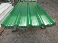 Chapa de Acero Plana Verde Recubierta Laminada en Caliente Estándar ASTM Dana, Láminas de Acero de Alta Resistencia, Modelo Dana Green Flat Steel