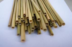 ARTÍCULOS MÁS VENDIDOS - Pajitas de Hierba Orgánica para Café y Bebidas para Llevar, Alternativa Ecológica a las Pajitas de Plástico Desechables - Product Image 5