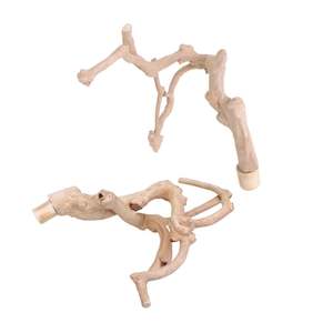 Perchoir pour oiseaux en bois de café naturel Javawoood, écologique, durable, de haute qualité, en provenance d'Indonésie - Product Image 2