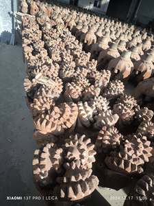 Brocas Tricónicas TCI en Venta – Brocas de Alto Rendimiento para Perforación de Roca - Product Image 3