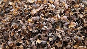 LA MEJOR ELECCIÓN CASCO SECO DE ALTA CALIDAD Y BUEN PRECIO DE VIETNAM - Product Image 5