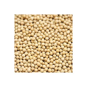 Vente en gros de soja jaune biologique de haute qualité sans OGM soja délicieux vente par fournisseur en gros - Product Image 2