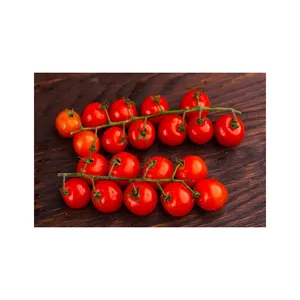 フレッシュトマトスイートレッドトマト販売用レッドスタイル包装種子f1レッドハイブリッドトマト種子