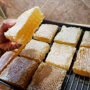 100% Nid d'abeille brut biologique du Vietnam Cire d'abeille naturelle Douceur Récoltée Nid d'abeille brut en vrac Contacter Mme Jessi - Product Image 2