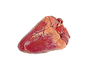 Subproductos orgánicos naturales de carne de corazón y carne de res envasada al vacío Carne de res - Product Image 2