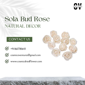 Popular calidad Premium Sola Bud Rose para DIY boda hogar evento Oficina decoración y arreglo de flores secas - Product Image 3