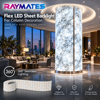 Feuille lumineuse LED RAYMATES UL ETL en stock, 24V, couleur unique, rétroéclairage LED, feuille lumineuse LED pour escalier et mur décoratif