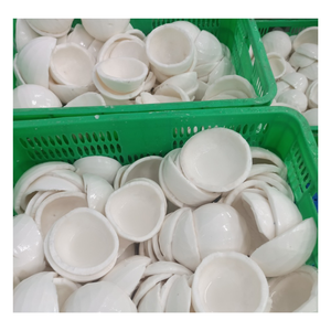 เนื้อมะพร้าวสดแช่แข็งในฟาร์ม // กลิ่นหอมธรรมชาติหวานส่งออกคุ้มค่าจากเวียดนาม - Product Image 2