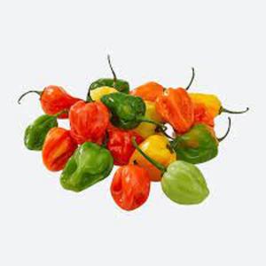Piments Habanero frais en gros, jaunes, 25 kg, 99 % matures - Product Image 1