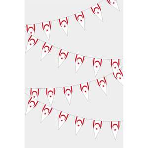 Kktc Custom Logo Triangular Flag Bunting Digital Printing Fiberglass Flagpole Polyester and Silk Material - Product Image 1