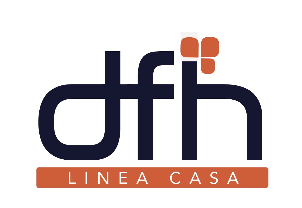 DFH SRL logo