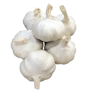 Aglio bianco di alta qualità nuovo raccolto granulato fornitore di merci essiccate all'ingrosso aglio G1 semi di aglio