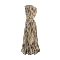 Corde d'escalade de camping de survie en plein air Paracord de 5mm 100M/Roll pour l'activité de plein air