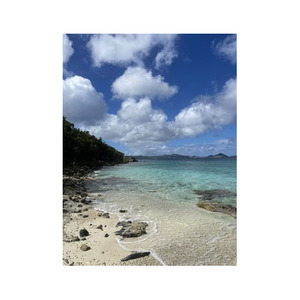 Troncos largos de madera de haya con acabado elegante para proyectos industriales a precio competitivo - Product Image 2