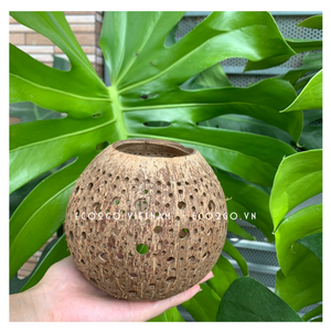 Porte-bougie en forme de coquille de noix de coco, artisanat naturel, conception personnalisée, Logo de Eco2go Vietnam, vente en gros - Product Image 5