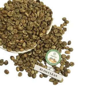 Meilleure qualité d'origine vietnamienne arabica robusta grains de café vert grains de café crus grains de café torréfiés + 84 326055616
