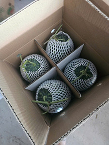 Sandía fresca sin semillas de alta calidad para la exportación-Sandía dulce jugosa de Vietnam Precio asequible - Product Image 3