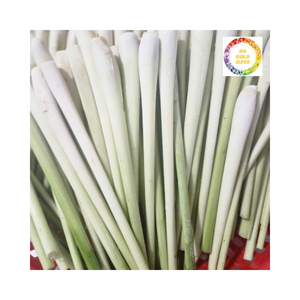 Citronnelle congelée au meilleur prix du Vietnam Saveur fraîche garantie Qualité d'exportation Processus IQF prêt à exporter - Product Image 5