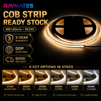 Lampu Strip LED COB Tanpa Titik RAYMATES Harga Pabrik CRI 90 DC24V Fleksibel untuk Pencahayaan Kabinet Ruang Tamu