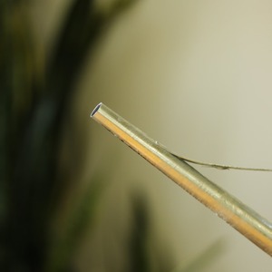 Organisateur de base d'arrosoir en métal galvanisé pour intérieur/extérieur avec long bec pour la décoration de jardin de maison de mariage - Product Image 6