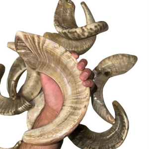 เปลือกหอยโคเชอร์เปลือกหอยทำด้วยมือแบบดั้งเดิมงานฝีมือตามธรรมชาติมากมายหินโมราเป่ายาวทางศาสนา - Product Image 6