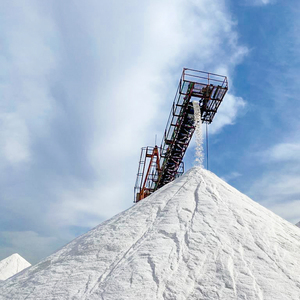 Serra เกลือทะเลเซลติกเกลือทะเลออร์แกนิกเกรดอาหาร25กก. สินค้า OEM ระดับพรีเมียมพร้อมส่งทั่วโลก - Product Image 2