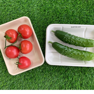 Bandeja de servicio de comida de bagazo de caña de azúcar biodegradable rectangular respetuosa con el medio ambiente desechable personalizada logotipo para restaurante de hotel en casa - Product Image 6