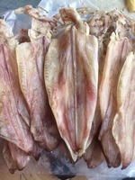 Nouveau Calamar Séché Sauvage 2025 // ISO HACCP // Fruits de Mer Naturels au Meilleur Prix du VIETNAM // M. Alex Truong