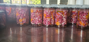 High Quality <b>Pickled</b> Shallots for Tet Holiday at Best Price for Supermarket Retail - Product Image 6