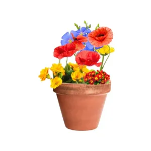 Sfera di Semi Flobba, Gadget Ecologici per Feste, Forniture Promozionali Eco-Friendly - Product Image 2