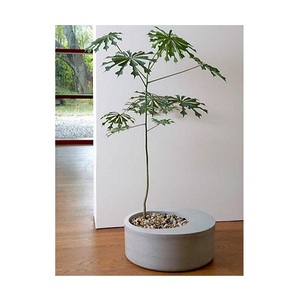 hot selling Garden Flower Pot Holder Potted Stand Mounted Balcony <b>Plant</b> black color <b>Basket</b> Metal Fence Hanging Planter - Product Image 3