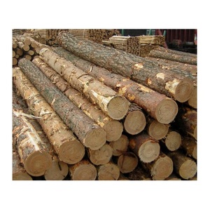 ไม้ซุงดิบ100% ราคาดีที่สุด - Product Image 4