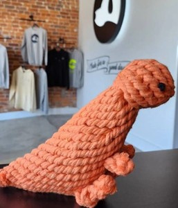 Jouet à mâcher T-Rex avec corde de dinosaure - Product Image 3