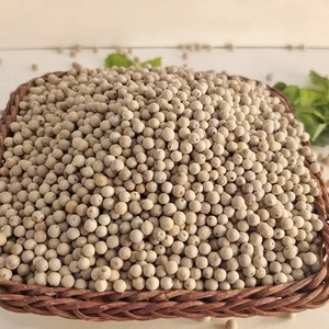 Best <b>Spices</b> & <b>Herbs</b> <b>Products</b> WHITE PEPPER 630G/L High Quality White Pepper From Turkey - Product Image 6