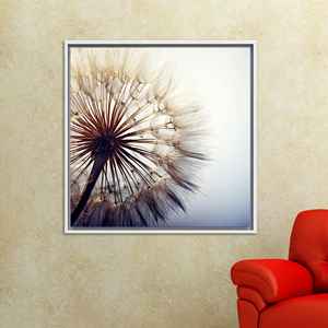 Impression sur toile de pissenlit en gros plan : Art mural botanique minimaliste, toile encadrée blanche - Product Image 1