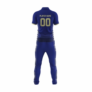 Uniformes professionnels de cricket personnalisés pour hommes et garçons Logo de l'équipe noms imprimés pakistanais et USA Cricket 2026 australie - Product Image 2