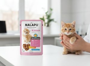 NALAPU Nourriture humide pour chatons en pochette, Sauce au poulet, Haute teneur en viande, Vitamines, Minéraux, Sans céréales, Biologique, Sans OGM, Pour chatons en croissance - Product Image 3