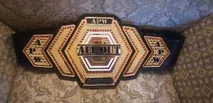 Cinturones de Campeonato Personalizados, Trofeos, Medallas y Premios, el Símbolo Definitivo de la Victoria y la Excelencia - Product Image 3