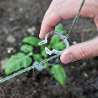 Clips de support de plantes Vigne Jardin Légumes Tomate 24 mm Clips Tomate Clips