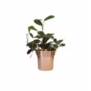 Macetas de Metal para interiores y exteriores, hogar y jardín, uso decorativo para guardería, diseño moderno, equilibrio, creación de macetas, Mesa - Product Image 1