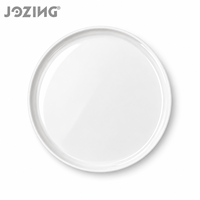 Assiette à steak en céramique blanche JOZING de 10,8 pouces, plat rond pour dîner, liquidation directe d'usine, porcelaine pour restaurant