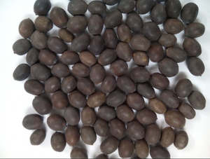 Graines de lotus noires séchées croustillantes de qualité supérieure, collation nutritive, sans conservateurs ajoutés, produit de haute qualité du Vietnam - Product Image 5