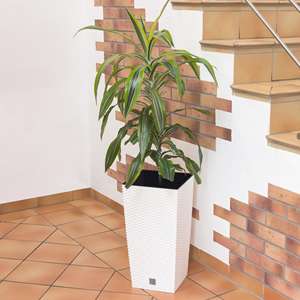 Ensemble de 4 pots à fleurs Rato de 7,2 L avec insert 17x17x32,4 cm en blanc + 1 ensemble de 6 outils de jardin GRATUIT - Product Image 5