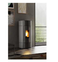 Poêle à granulés de bois durable à vendre Chauffage écologique à bas prix pour le chauffage de la maison avec une longue durée de combustion et un contrôle facile