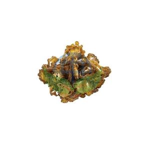 Meilleures ventes de courge amère séchée biologique en vrac pour la cuisine à domicile, les tisanes et les remèdes, disponible pour l'exportation, prix d'Inde - Product Image 2